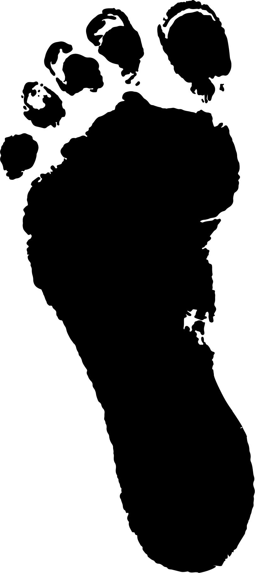 carbon footprint image
