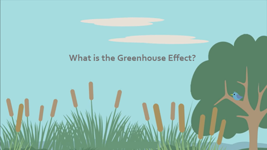 What is the greenhouse effect video